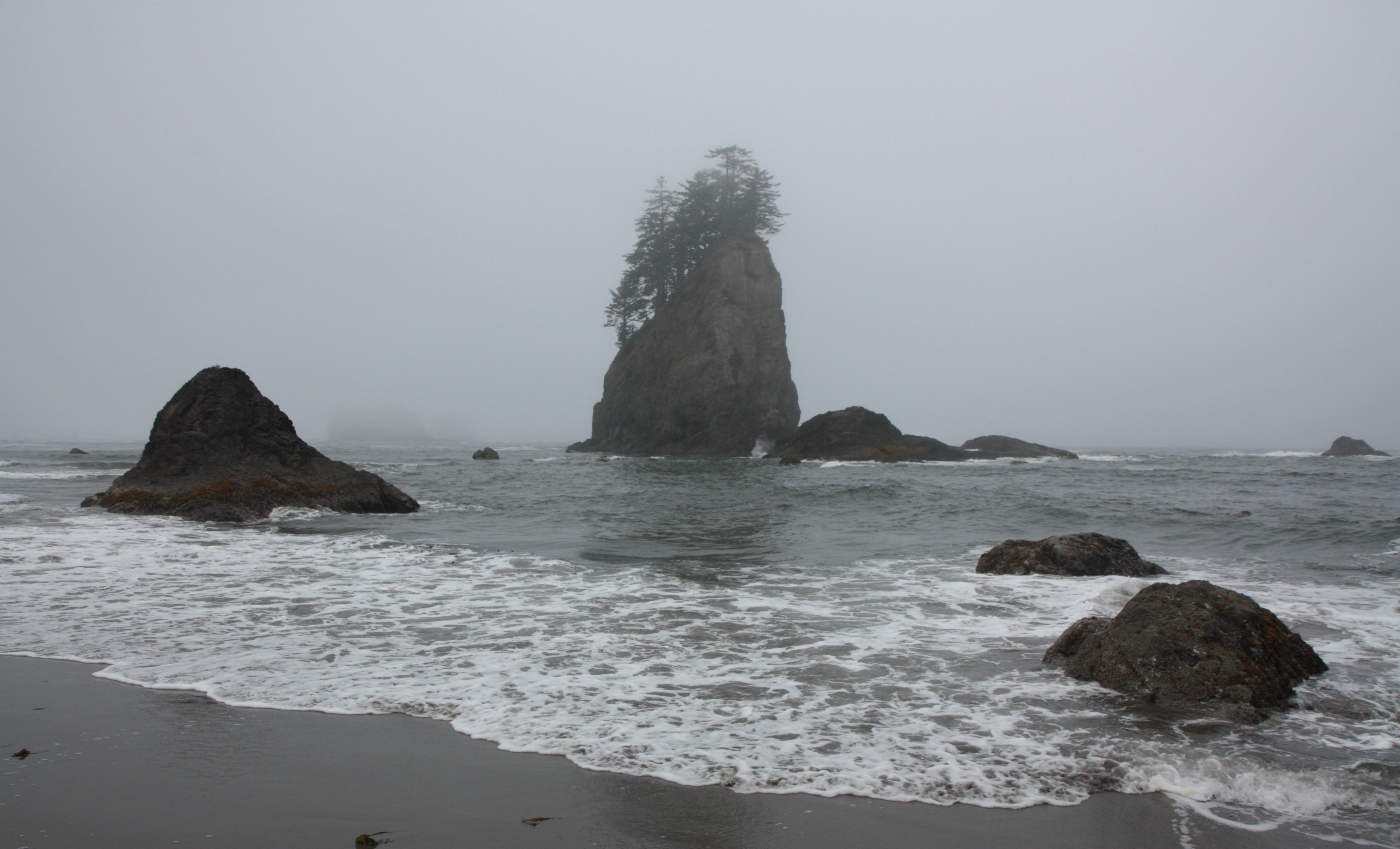 Olympic NP